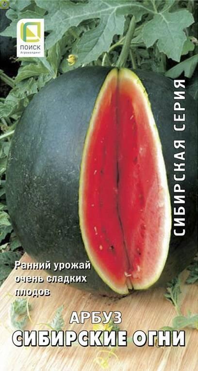 Купить оптом в Ботанике семена Арбуз Сибирские огни Поиск бренд Поиск