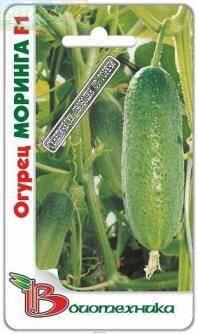 Купить оптом в Ботанике семена Огурец Моринга F1 Био бренд Биотехника