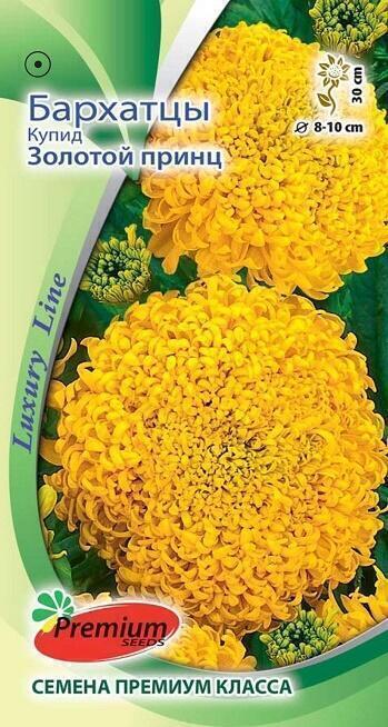 Купить оптом в Ботанике семена Бархатцы Золотой принц купид ПС бренд Премиум Сидс