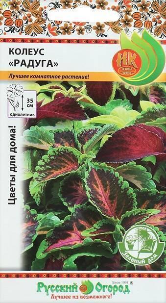 Купить оптом в Ботанике семена Колеус Радуга, смесь НК бренд НК