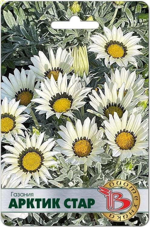 Купить оптом в Ботанике семена Газания Арктик Стар Био бренд Биотехника