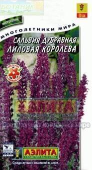 Купить оптом в Ботанике семена Сальвия Лиловая королева Аэл бренд Аэлита
