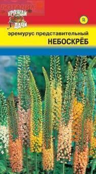 Купить оптом в Ботанике семена Эремурус Небоскреб УУ бренд Урожай Удачи