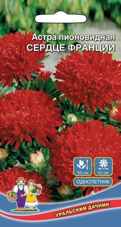 Купить оптом в Ботанике семена Астра Сердце Франции УД бренд Уральский дачник