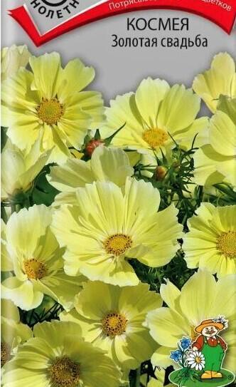 Купить оптом в Ботанике семена Космея Золотая свадьба Поиск бренд Поиск