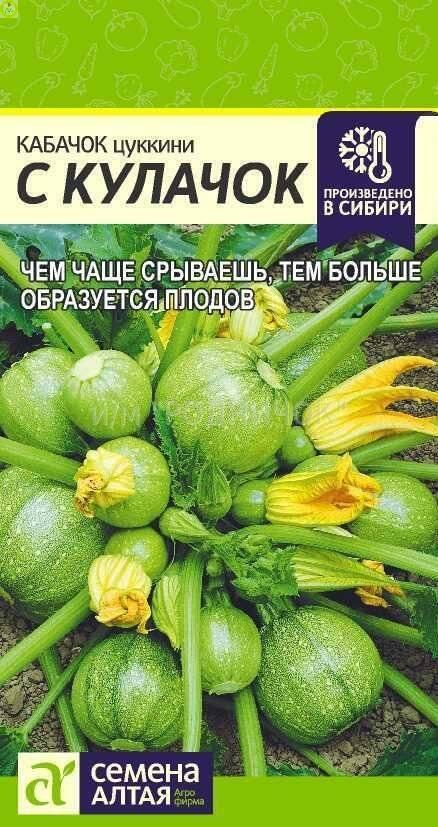 Купить оптом в Ботанике семена Кабачок С кулачок СА бренд Семена Алтая