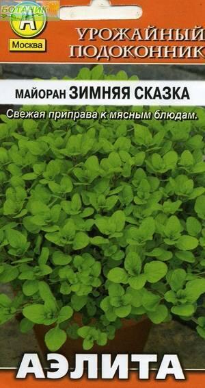 Купить оптом в Ботанике семена Майоран Зимняя сказка Аэл бренд Аэлита