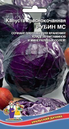 Купить оптом в Ботанике семена Капуста краснокочанная Рубин УД бренд Уральский дачник