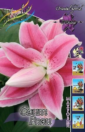 Купить оптом в Ботанике Лилия Санкрест 10 шт