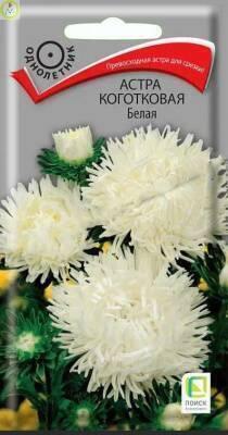 Купить оптом в Ботанике семена Астра Коготковая белая Поиск бренд Поиск