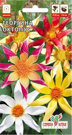 Купить оптом в Ботанике семена Георгина Октопус СА бренд Семена Алтая
