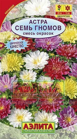 Купить оптом в Ботанике семена Астра Семь гномов Аэл бренд Аэлита