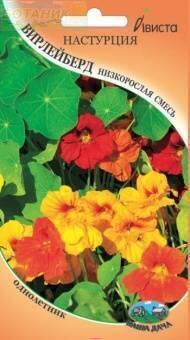 Купить оптом в Ботанике семена Настурция Вирлейберд низкорослая смесь Ав бренд Ависта
