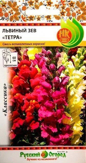Купить оптом в Ботанике семена Львиный зев Тетра НК бренд НК