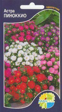 Купить оптом в Ботанике семена Астра Пиноккио смесь Акв бренд Акварель
