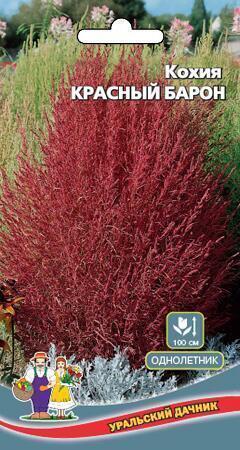 Купить оптом в Ботанике семена Кохия Красный Барон УД бренд Уральский дачник