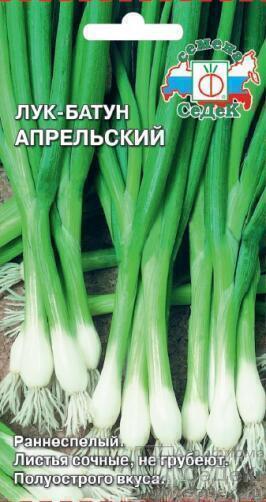 Купить оптом в Ботанике семена Лук батун Апрельский Сед бренд СеДеК