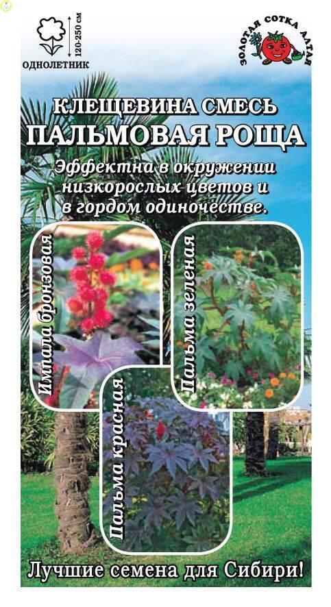 Купить оптом в Ботанике семена Клещевина Пальмовая роща смесь ЗС бренд Золотая сотка