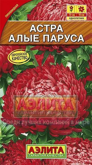 Купить оптом в Ботанике семена Астра Алые паруса Аэл бренд Аэлита