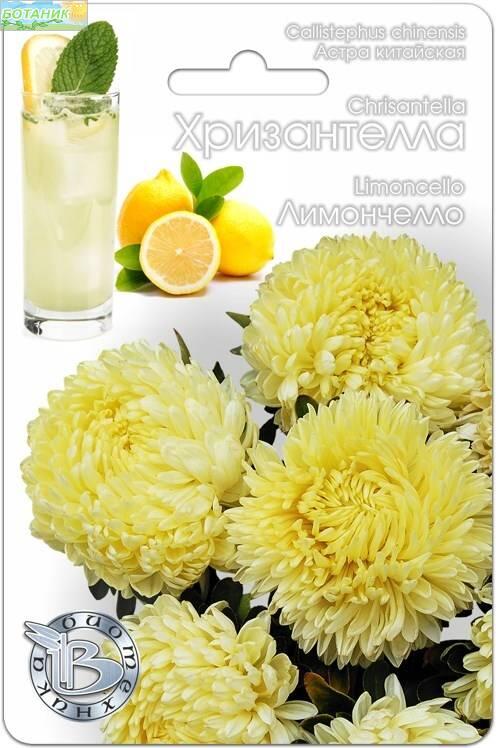 Купить оптом в Ботанике семена Астра китайская Хризантелла Лимончелло Био бренд Биотехника