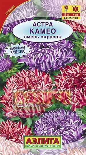 Купить оптом в Ботанике семена Астра Камео смесь Аэл бренд Аэлита