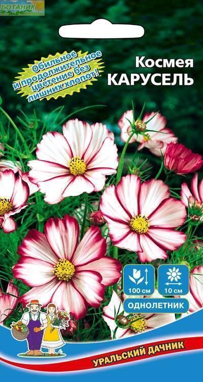 Купить оптом в Ботанике семена Космея Карусель УД бренд Уральский дачник