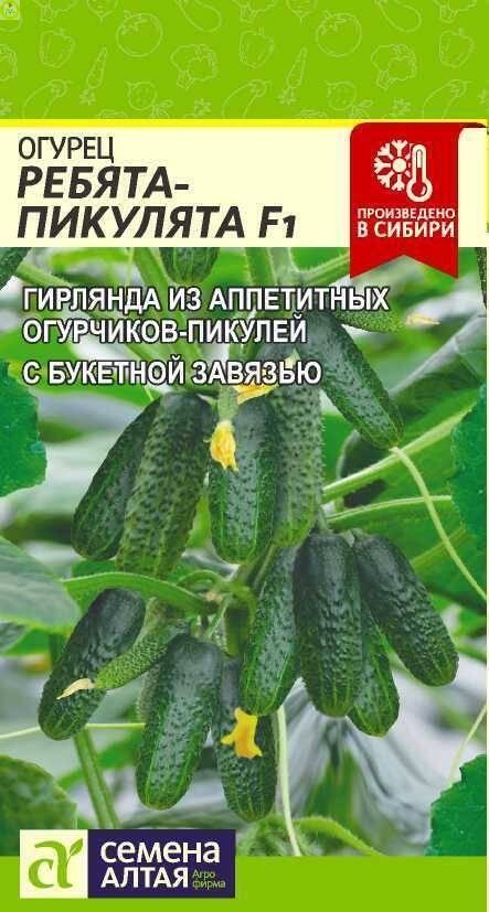 Купить оптом в Ботанике семена Огурец Ребята-Пикулята F1 СА бренд Семена Алтая