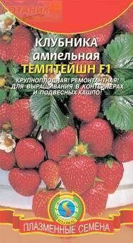 Купить оптом в Ботанике семена Клубника Темптейшн ампельная Плз бренд Плазмас