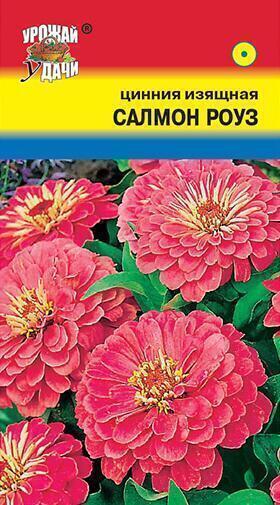 Купить оптом в Ботанике семена Цинния Салмон Роуз УУ бренд Урожай Удачи