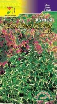 Купить оптом в Ботанике семена Куфея Декоративный кустарник ЦС бренд Цветущий Сад