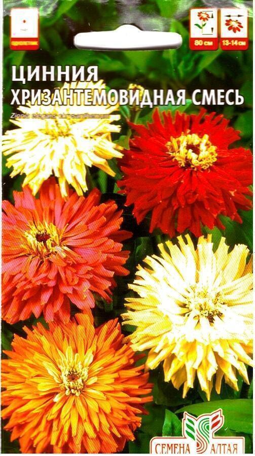 Купить оптом в Ботанике семена Цинния Хризантемовидная смесь СА бренд Семена Алтая