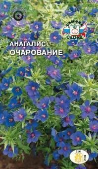 Купить оптом в Ботанике семена Анагаллис Очарование Сед бренд СеДеК
