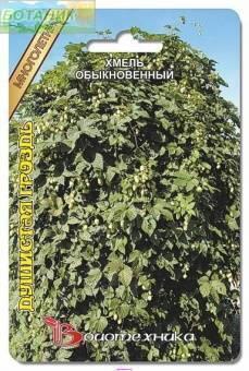 Купить оптом в Ботанике семена Хмель Душистая гроздь обыкновенный Био бренд Биотехника