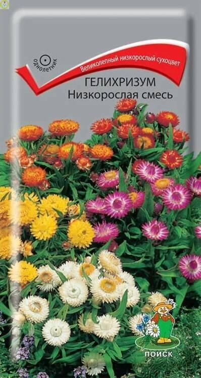 Купить оптом в Ботанике семена Гелихризум Низкорослая смесь Поиск бренд Поиск