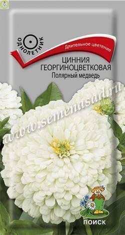 Купить оптом в Ботанике семена Цинния Полярный медведь Поиск бренд Поиск