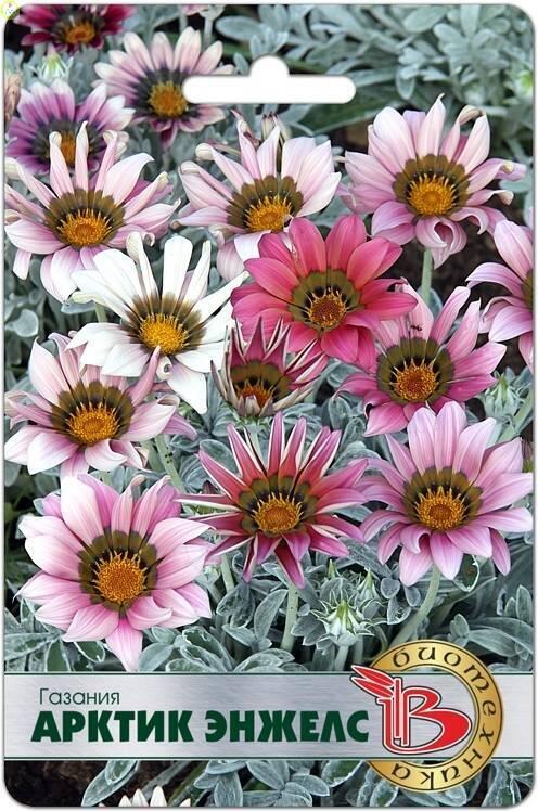 Купить оптом в Ботанике семена Газания Арктик Энжелс Био бренд Биотехника