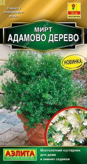 Купить оптом в Ботанике семена Мирт Адамово дерево Аэл бренд Аэлита