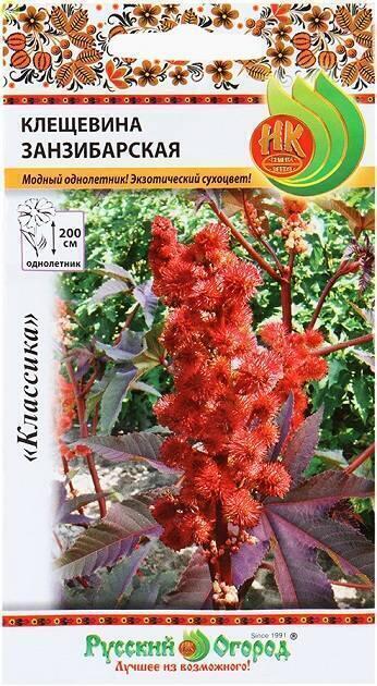 Купить оптом в Ботанике семена Клещевина Занзибарская НК бренд НК