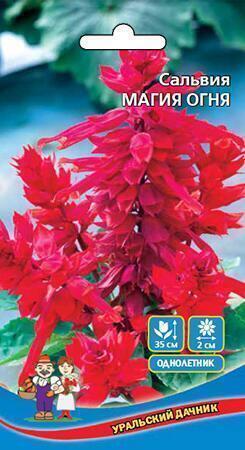Купить оптом в Ботанике семена Сальвия Магия огня УД бренд Уральский дачник