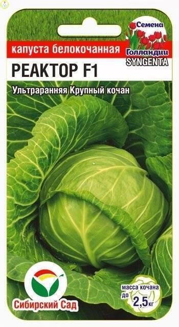 Купить оптом в Ботанике семена Капуста белокочанная Реактор F1 СС бренд Сиб.сад