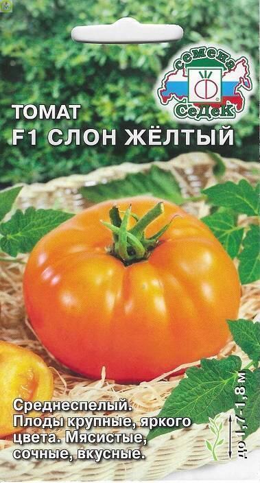 Купить оптом в Ботанике семена Томат Слон желтый F1 Сед бренд СеДеК