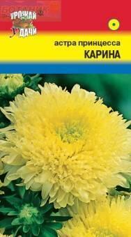 Купить оптом в Ботанике семена Астра Принцесса Карина УУ бренд Урожай Удачи