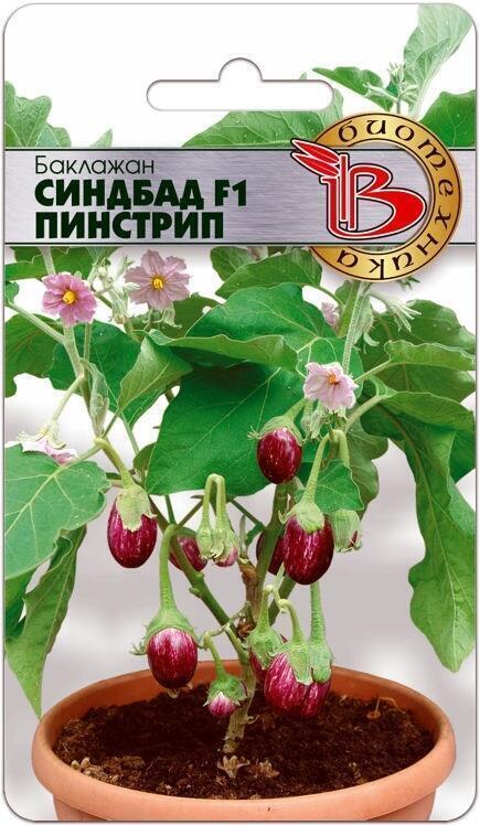 Купить оптом в Ботанике семена Баклажан Синдбад Пинстрип F1 Био бренд Биотехника