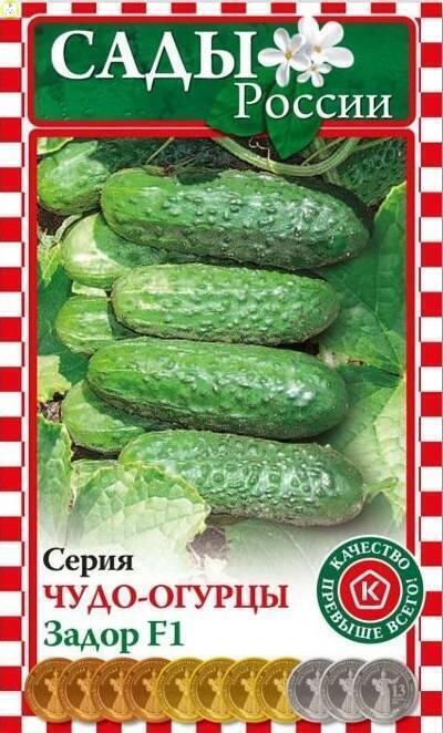 Купить оптом в Ботанике семена Огурец Задор F1 НК бренд НК