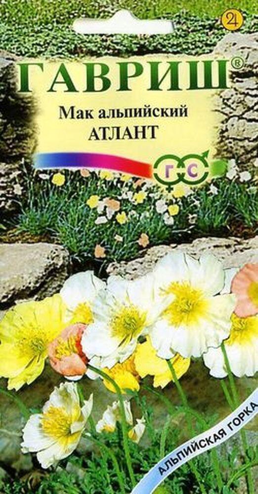Купить оптом в Ботанике семена Мак Альпийский Гав бренд Гавриш