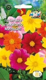 Купить оптом в Ботанике семена Георгина Пикколо Миньон Сед бренд СеДеК