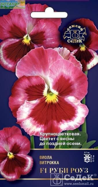 Купить оптом в Ботанике семена Виола Руби Роуз F1 Сед бренд СеДеК
