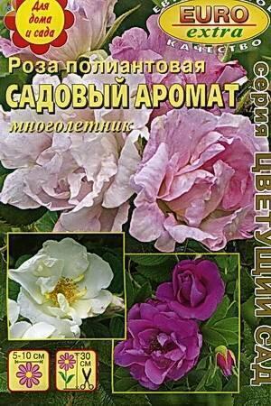 Купить оптом в Ботанике семена Роза полиантовая Аэл бренд Аэлита