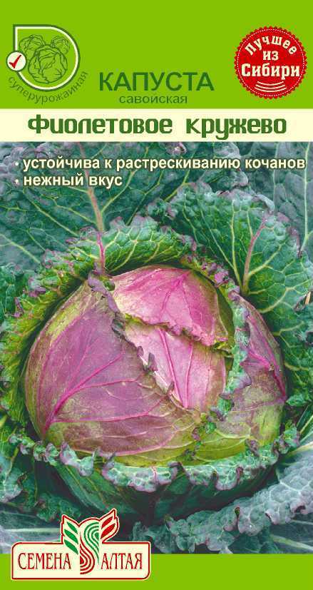 Купить оптом в Ботанике семена Капуста савойская Фиолетовое Кружево СА бренд Семена Алтая