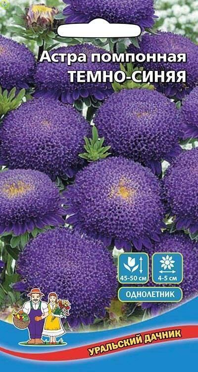 Купить оптом в Ботанике семена Астра Темно-Синяя УД бренд Уральский дачник